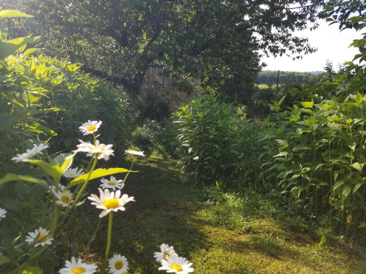 Le Petit Paradis, Mini Maison,Nature,Confort,Calme Saint-Julien-le-Petit Dış mekan fotoğraf