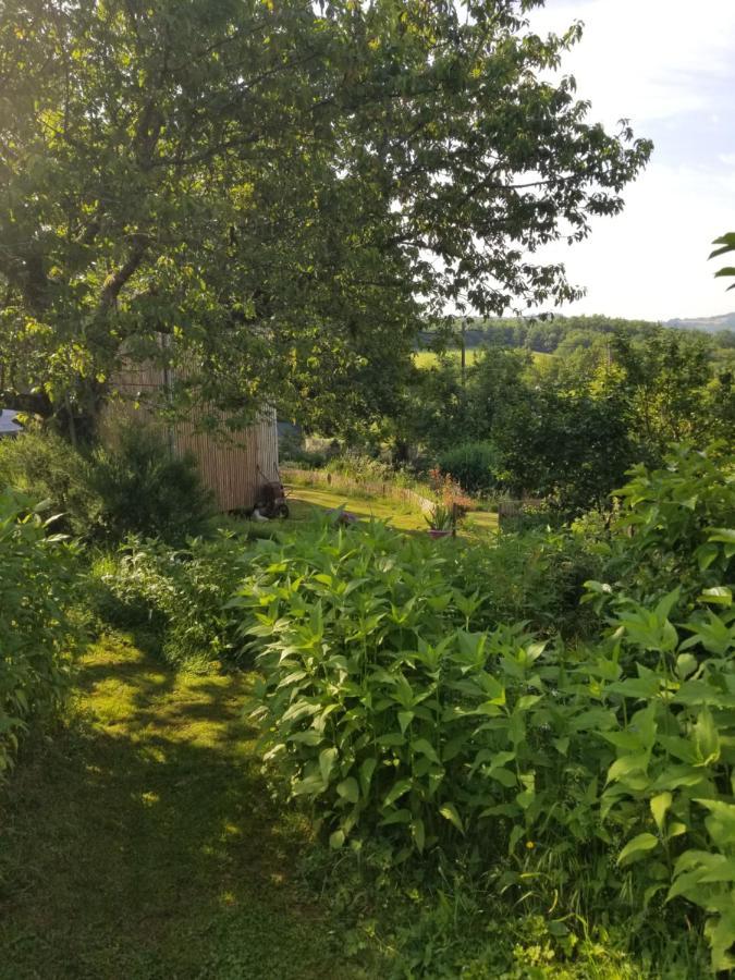 Le Petit Paradis, Mini Maison,Nature,Confort,Calme Saint-Julien-le-Petit Dış mekan fotoğraf