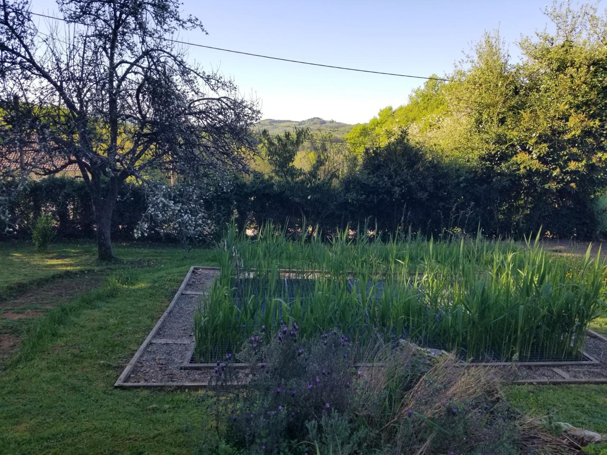 Le Petit Paradis, Mini Maison,Nature,Confort,Calme Saint-Julien-le-Petit Dış mekan fotoğraf