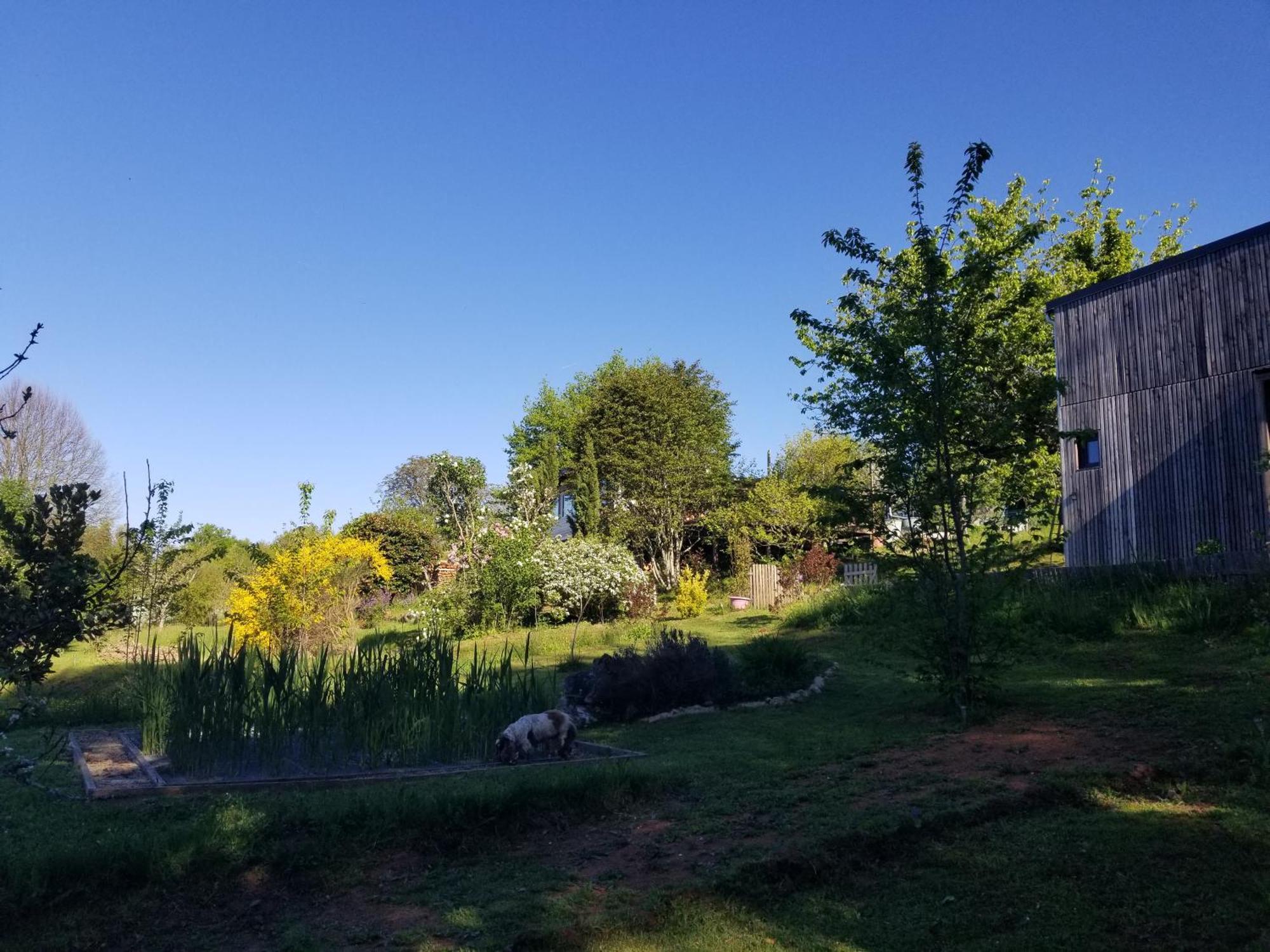 Le Petit Paradis, Mini Maison,Nature,Confort,Calme Saint-Julien-le-Petit Dış mekan fotoğraf